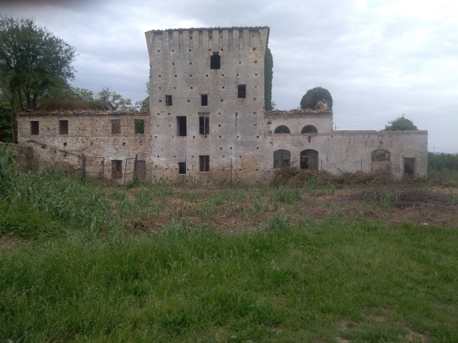 Montelupone
