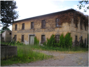 Palaia