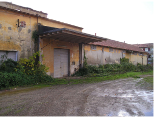 Palaia