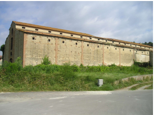 Palaia